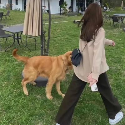 提心吊胆